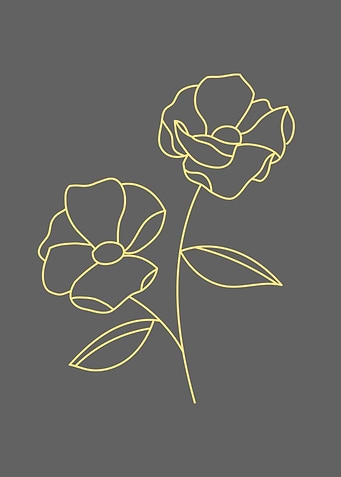 Flowers Black Illustration