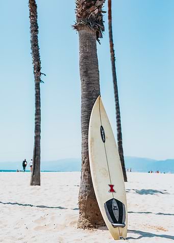 Resting Surfboard