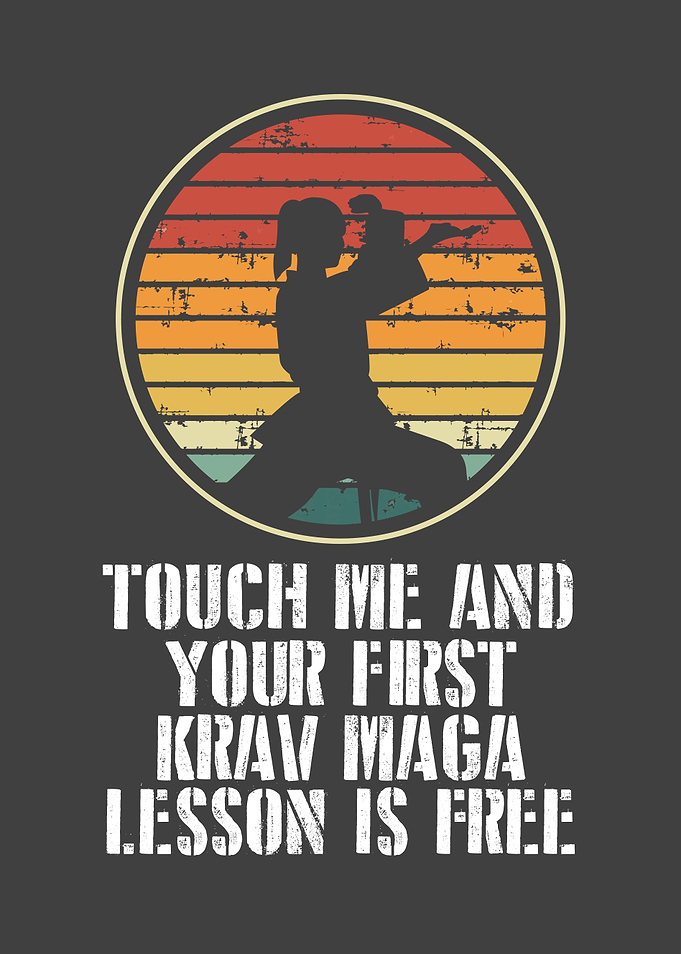 Your first lesson in krav