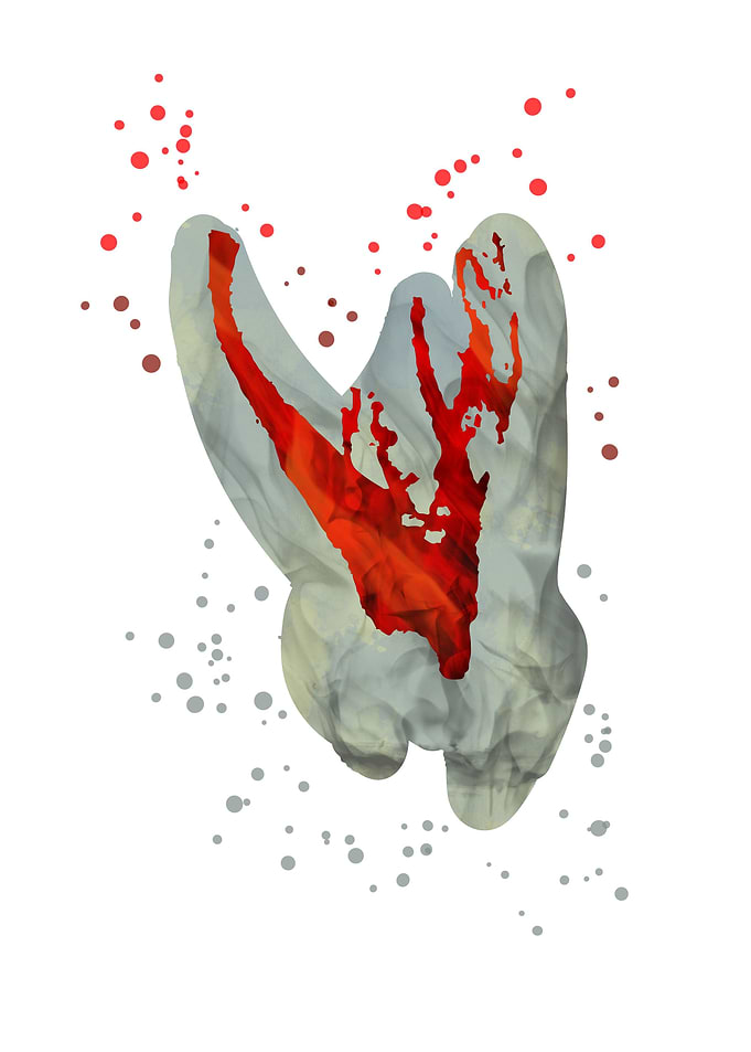 Tooth
