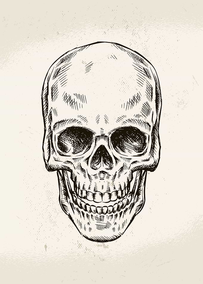 Hand Drawn Skull