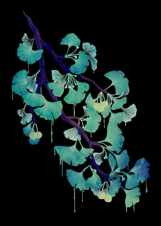 O Ginkgo in Black