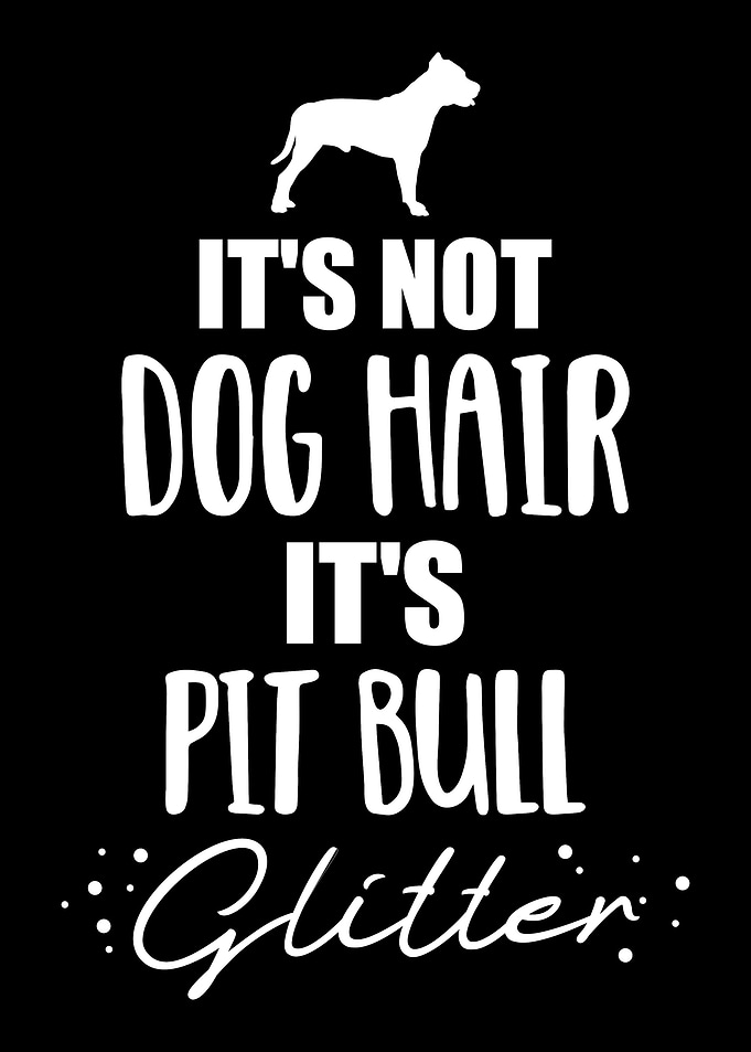 Pit Bull