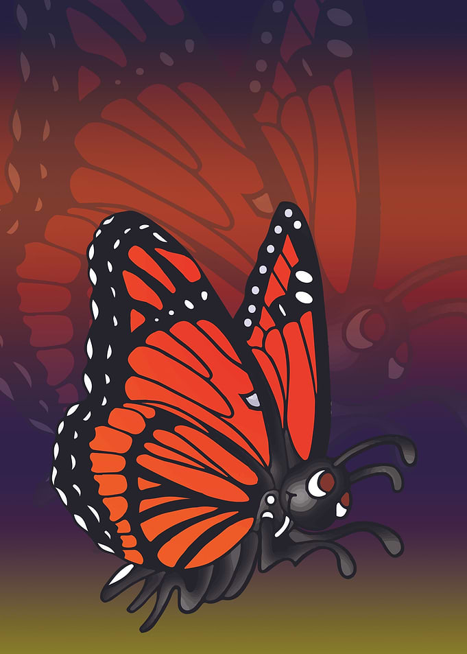 butterfly