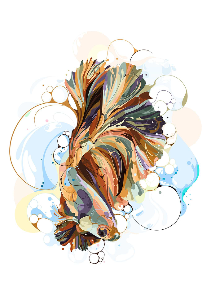 BETTA FISH