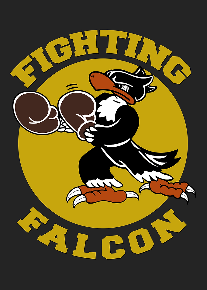 The Fighting Falcon