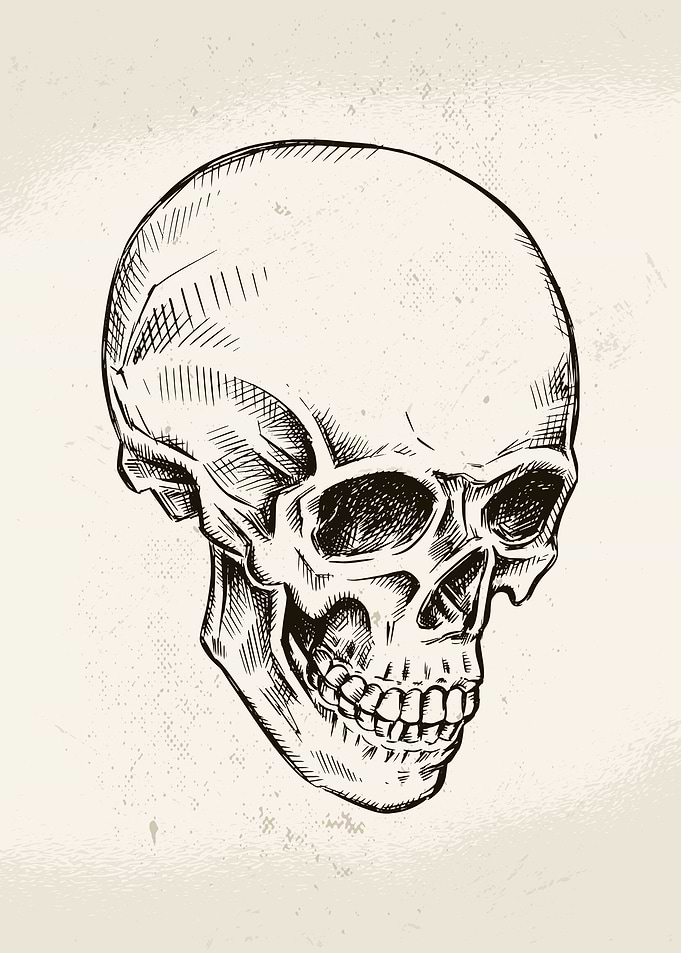 Hand Drawn Skull