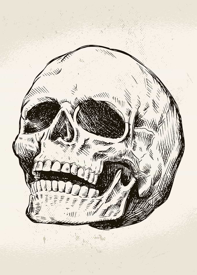 Hand Drawn Skull