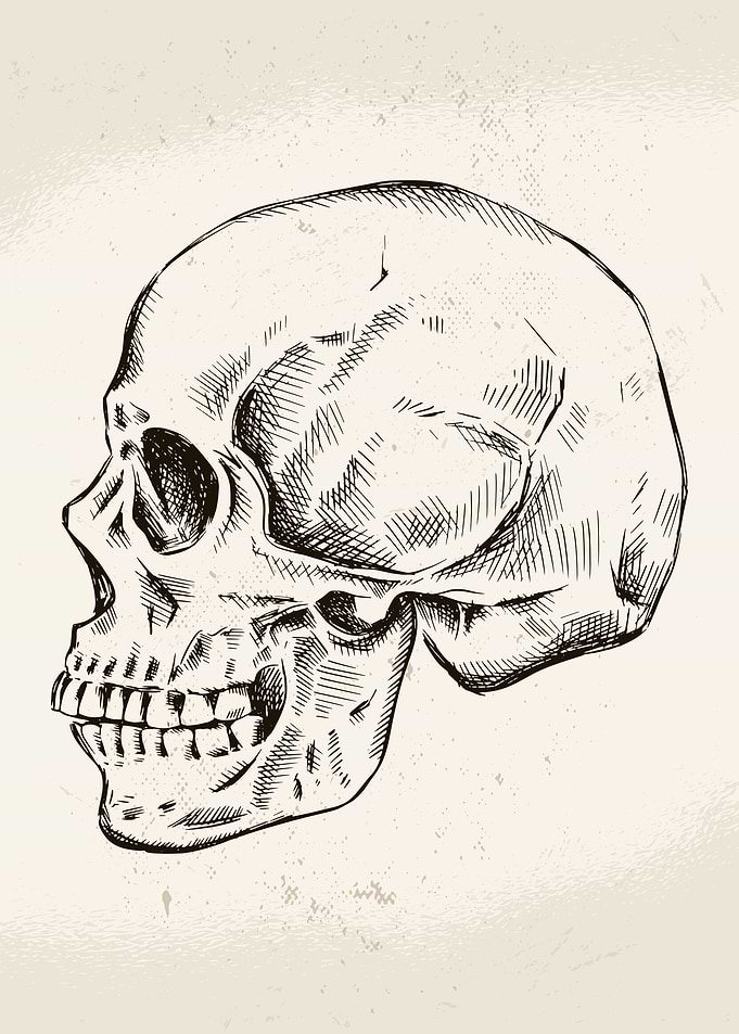Hand Drawn Skull