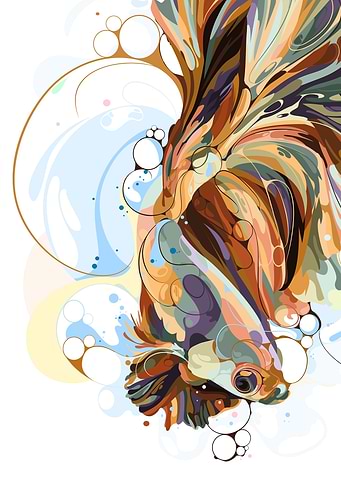 BETTA FISH