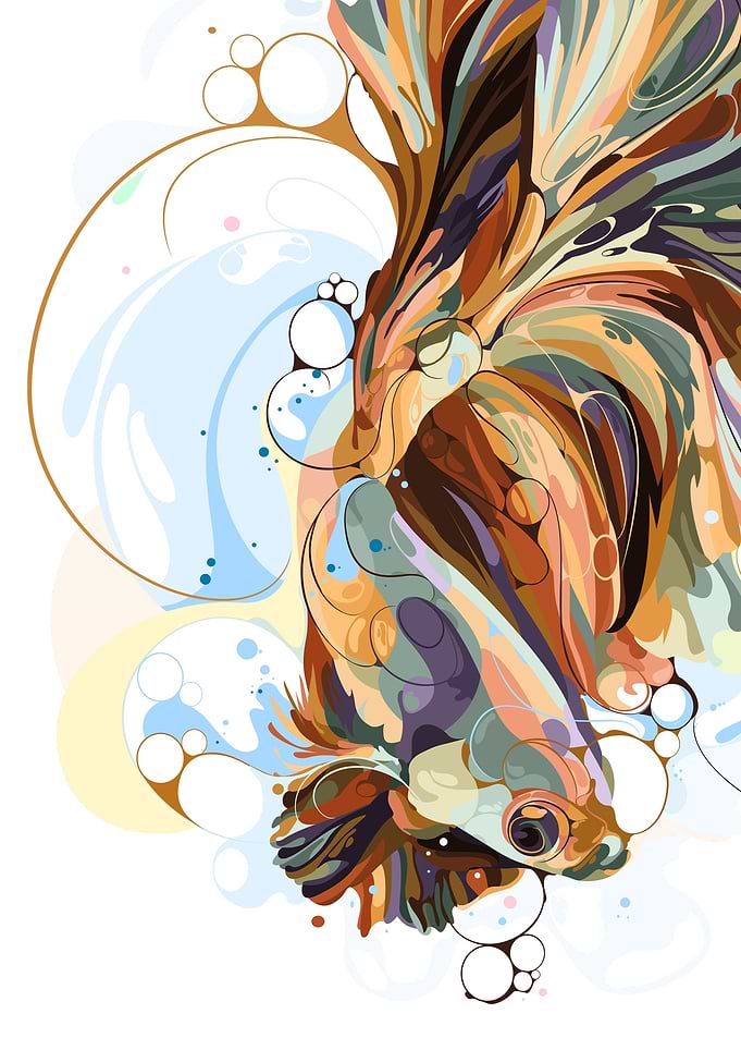 BETTA FISH