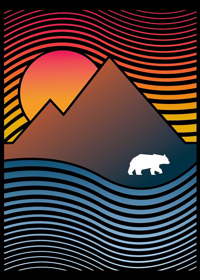 Bear geometry