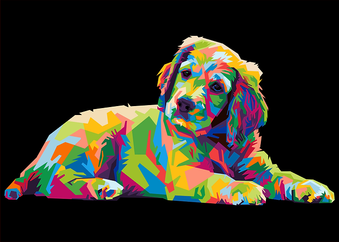colorful dog on pop art