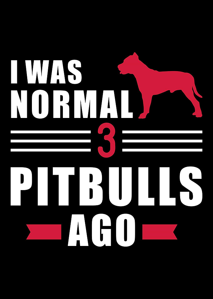 Pit Bull