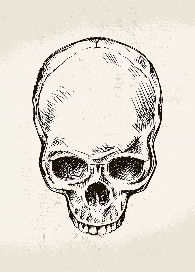 Hand Drawn Skull
