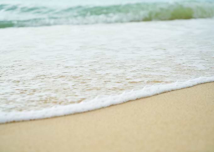 Beautiful Wild Beach