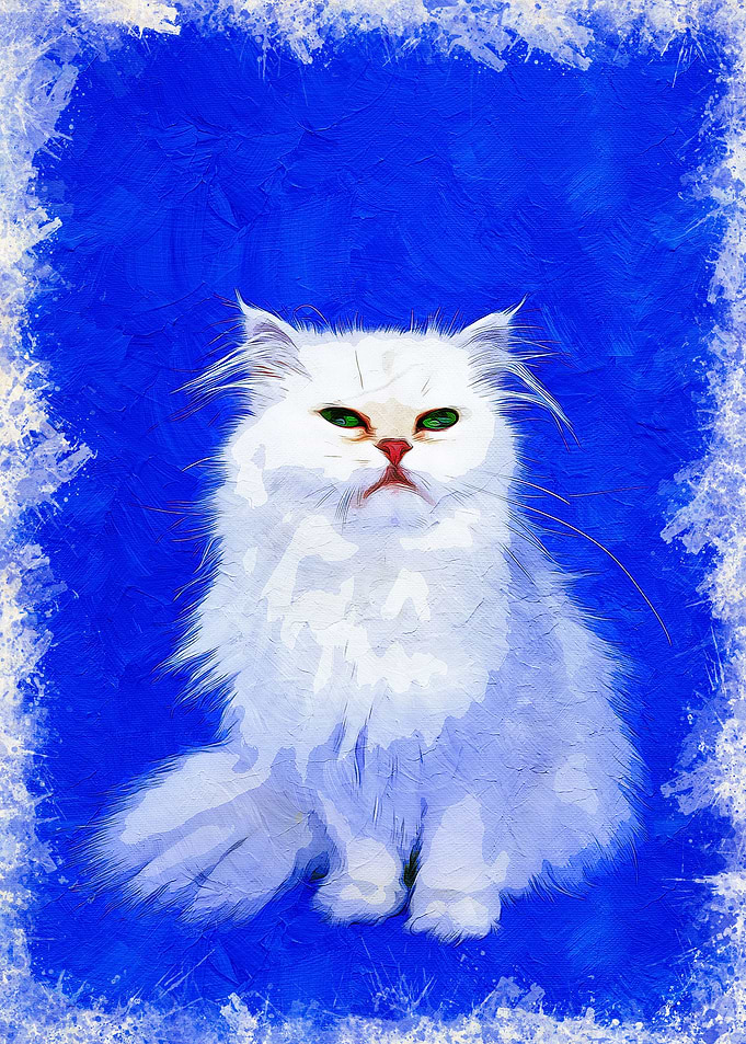 Cats