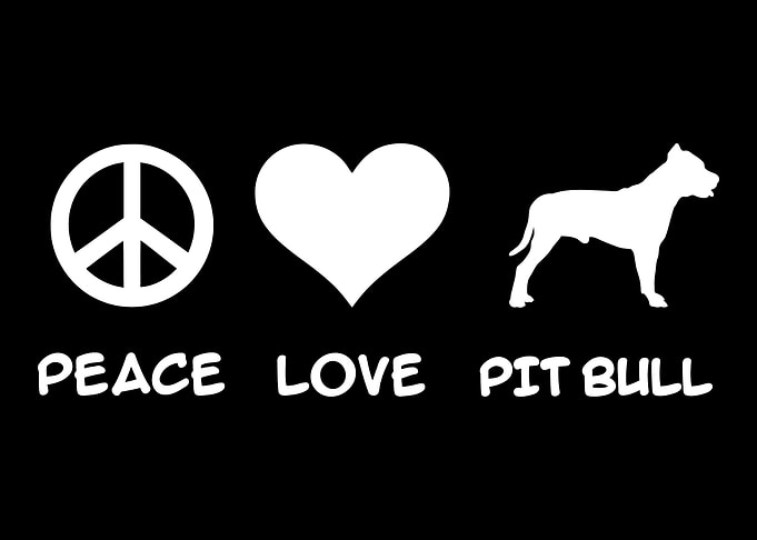 Pit Bull