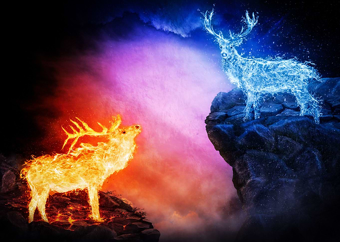 Fire vs Water Deer