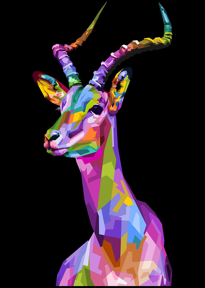 colorful impala