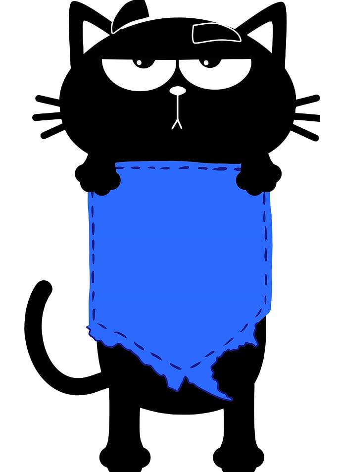 cat gift