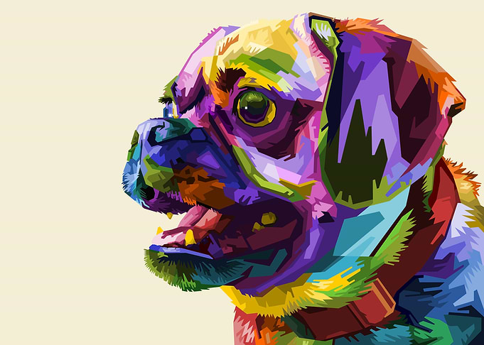 cute pug