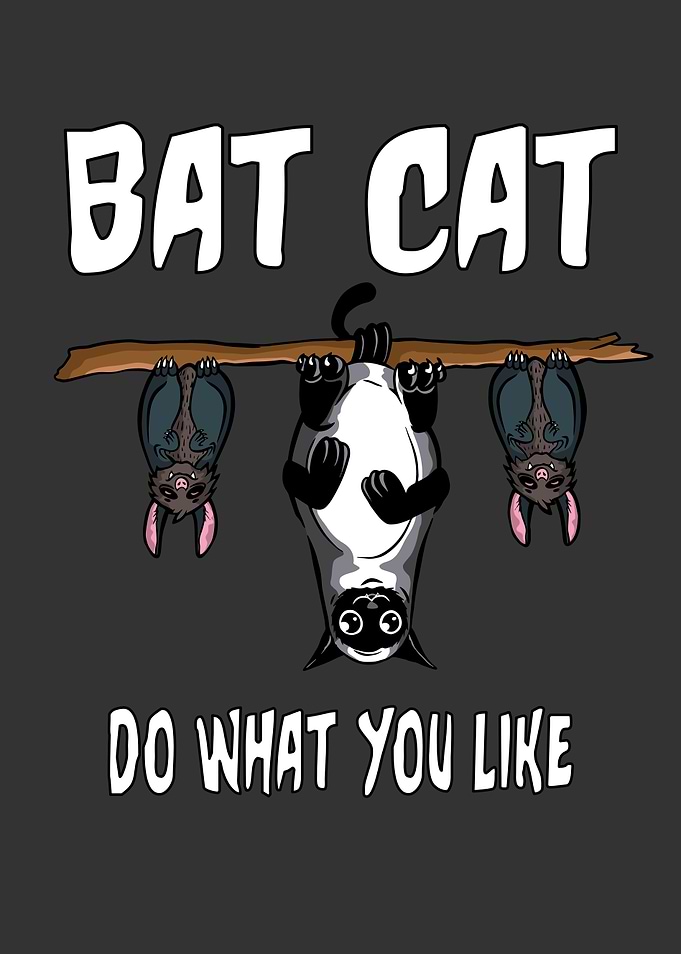 Bat Cat