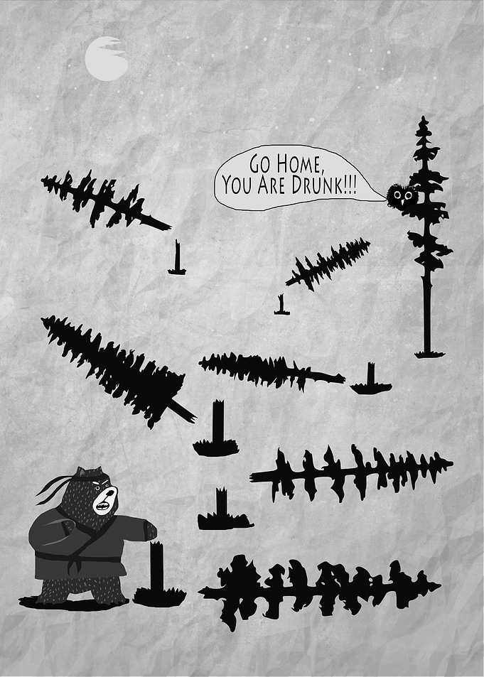 Bad Bear Camp