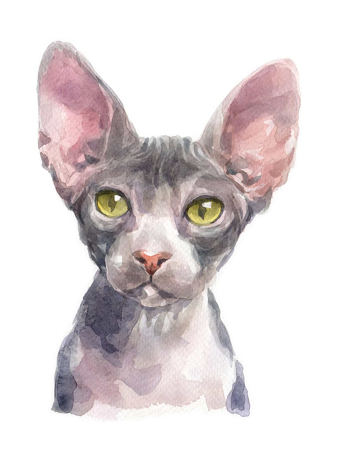 Cats