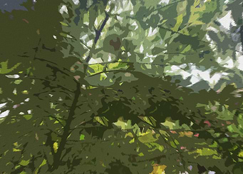 Foliage Green