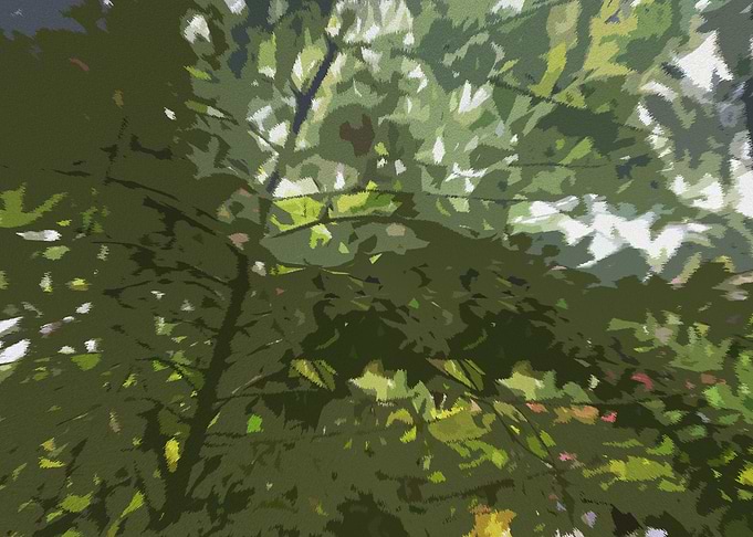 Foliage Green