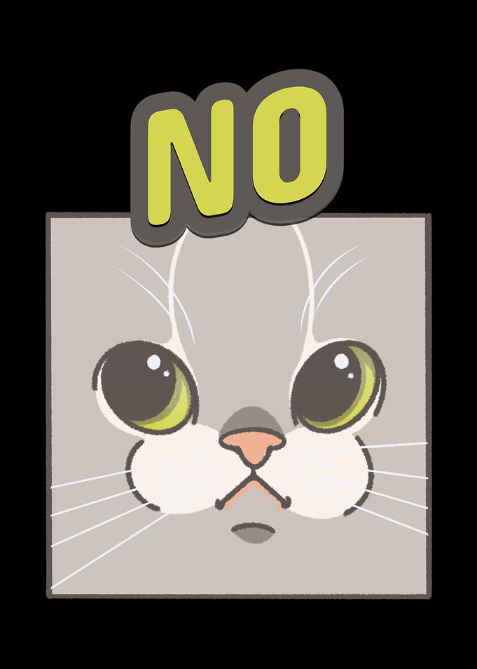 NO Disapproving Cat
