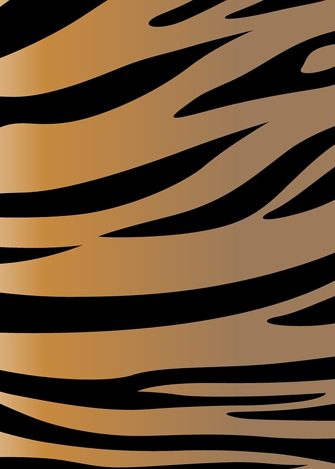 tiger patterns