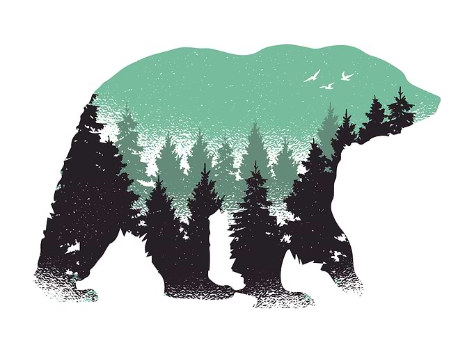 Bear Forest