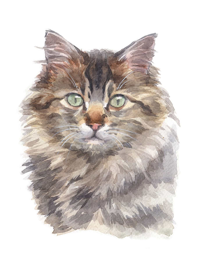 Cats