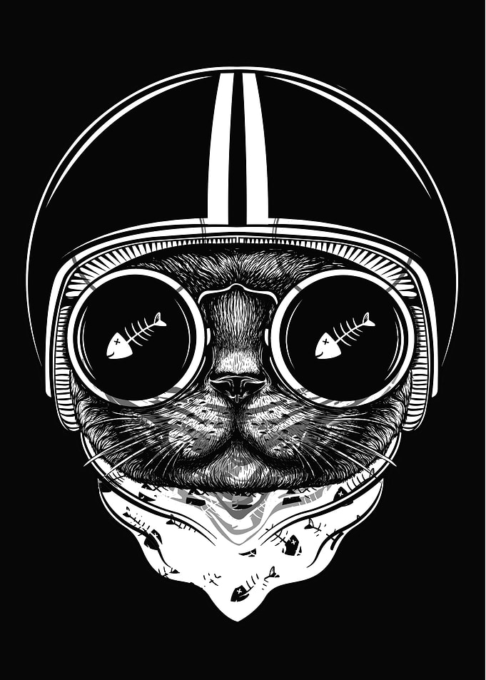 Cats love