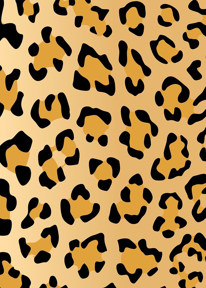leopard patterns