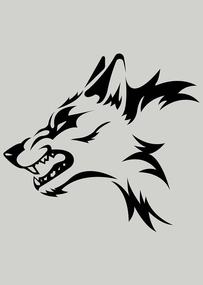 Mad Wolf
