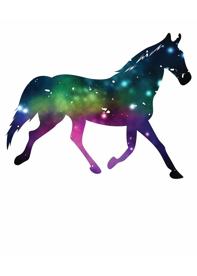 Horse Riding Gift Rider