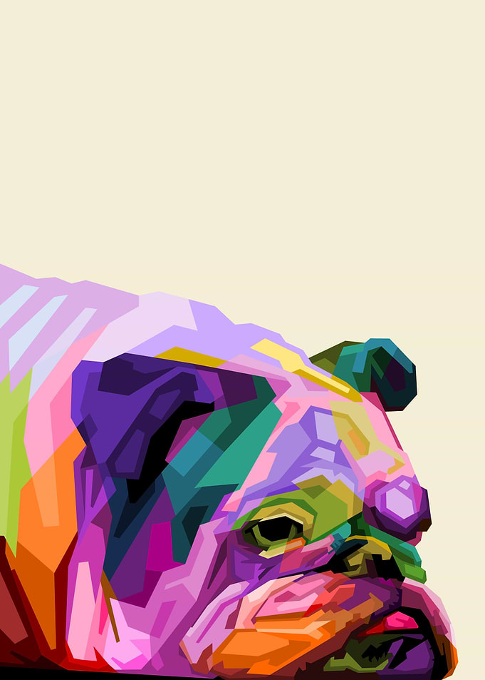colorful english bulldog