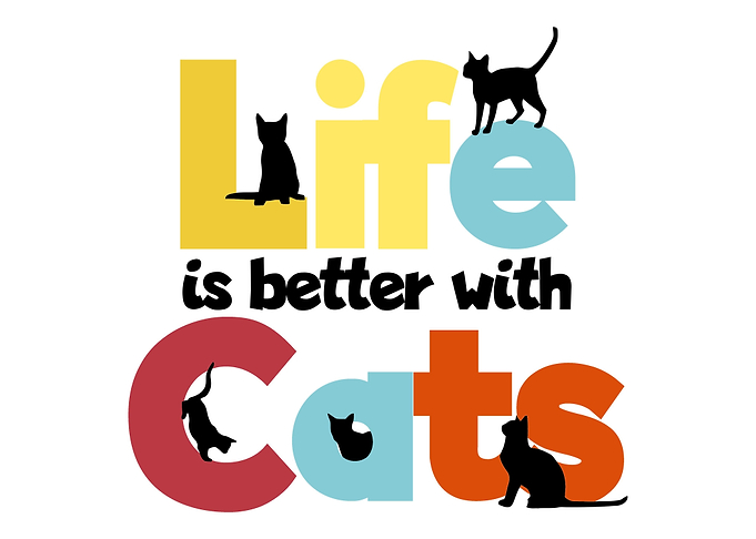 Cat gift