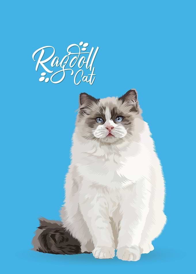 Munchkin Cat