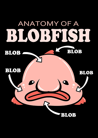 Blobfish Anatomy