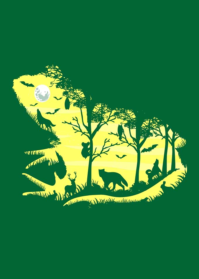 Froggy Night