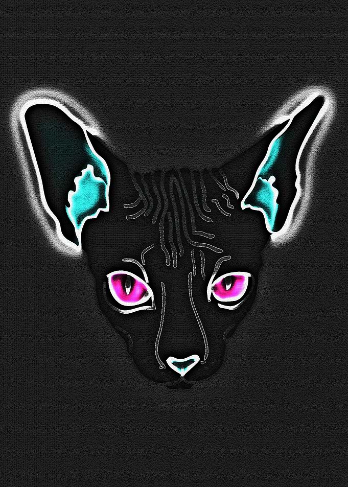 Glowing feline