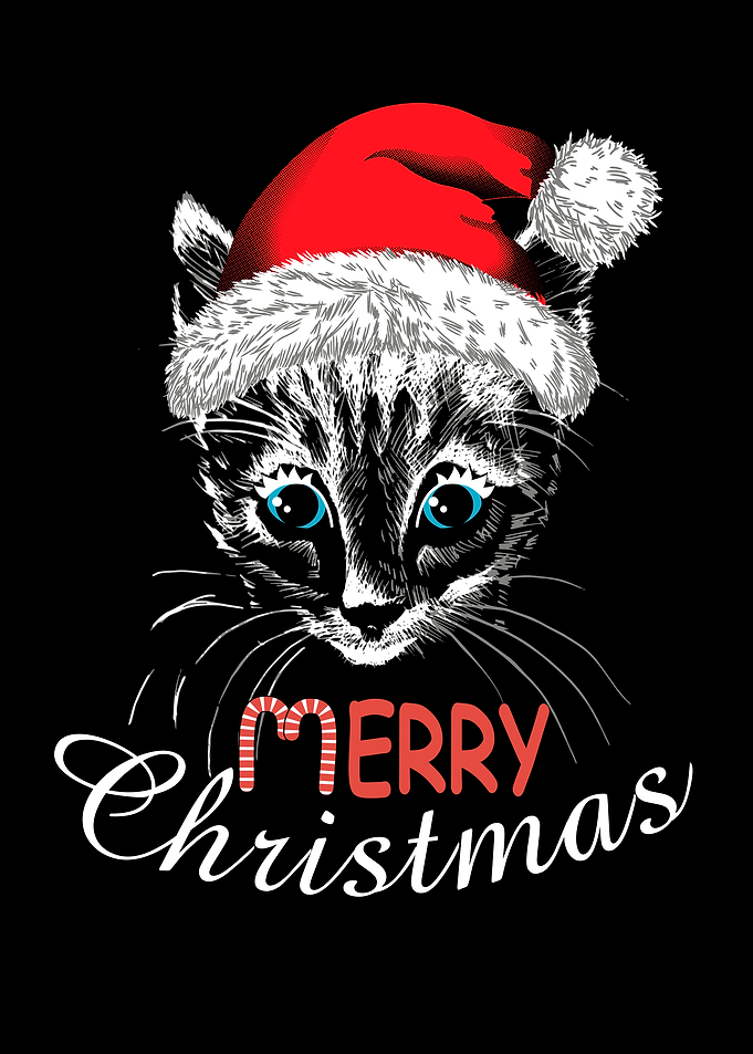 Kitten face with Santa hat