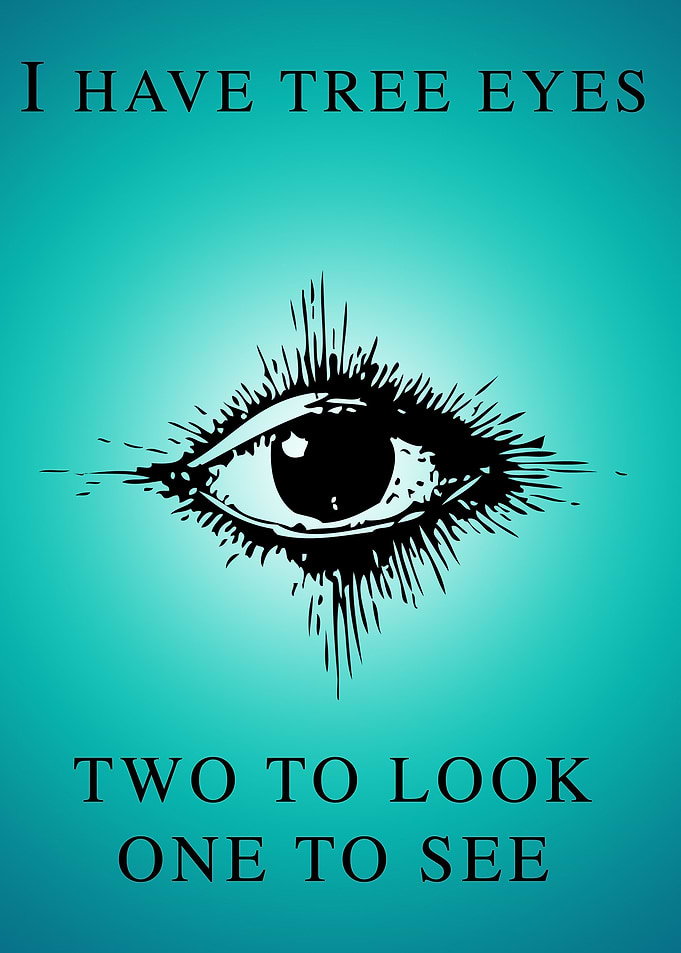 the eye that sees