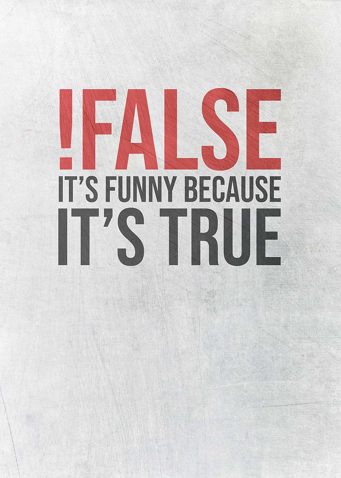 Programmer False Funny
