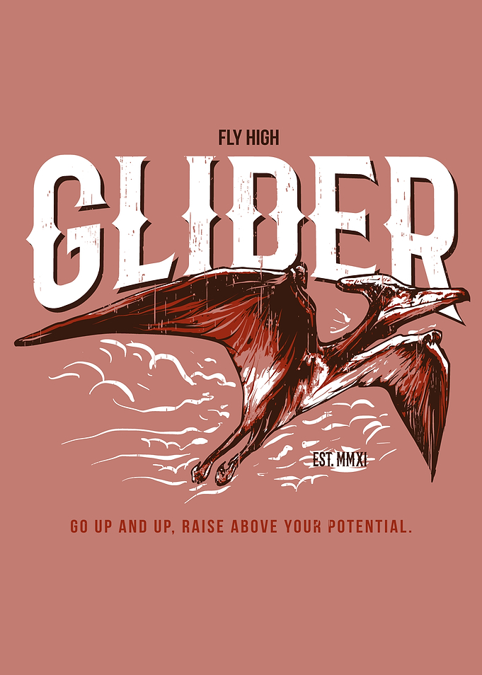 Fly High Glider