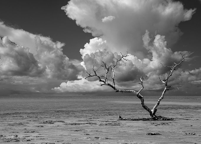 Wanderlust Black and White